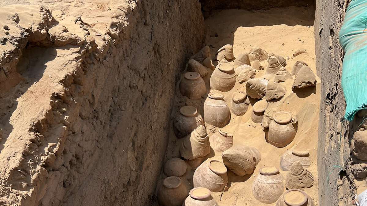 5,000-year-old wine discovered in the tomb of an Egyptian queen