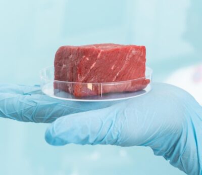 Por qué Italia quiere prohibir la carne cultivada en laboratorio