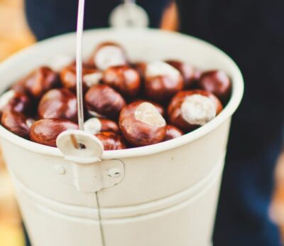 Cómo preparar castañas cocidas, la receta gallega del otoño