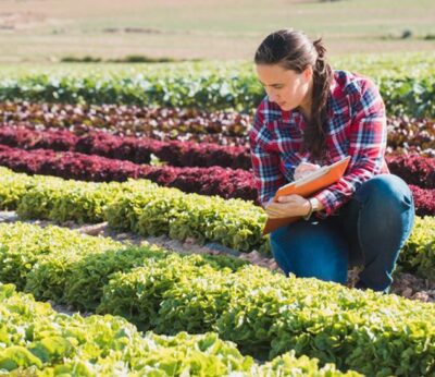 Economía.- Agricultura abre la convocatoria del programa ‘Cultiva 2023’ para jóvenes agricultores y ganaderos