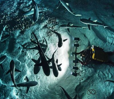 Un Blancpain para explorar el fondo submarino y salvar los océanos