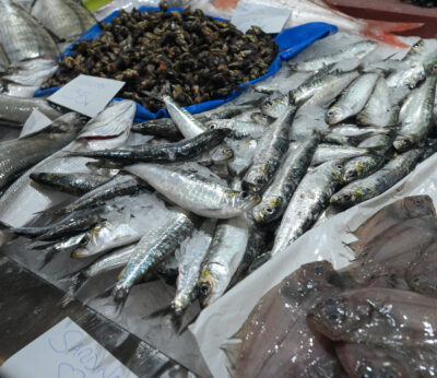 Economía/Pesca.- Galicia pide cuotas adicionales de aquí a finales de año de sardina, abadejo y alfonsino