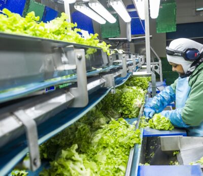 Economía.- CCOO denuncia que Verdifresh quiere obligar a plantilla a trabajar festivos para atender pedidos de Mercadona