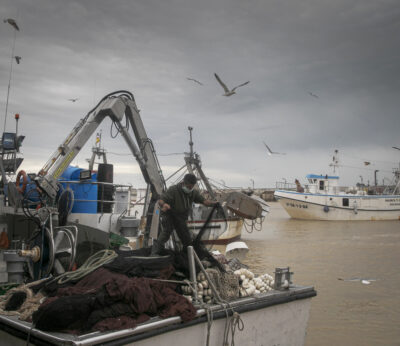 Economía.- El plazo para solicitar las cuotas pesqueras con fines científicos será entre el 1 y el 15 de enero de 2024