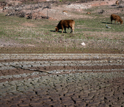 Economía.- UPA-COAG pide reforzar la Ley de Cadena tras un año azotado por sequía, EHE y altos costes de producción