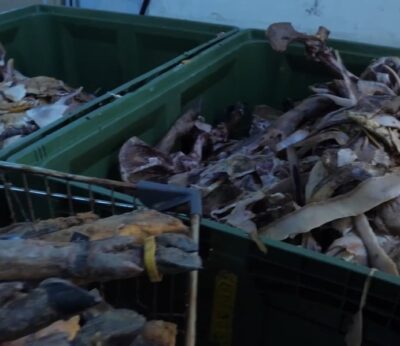 Economía.- Decomisados en Sevilla más de 970 kilos de jamones para ser loncheados en una nave sin garantías sanitarias