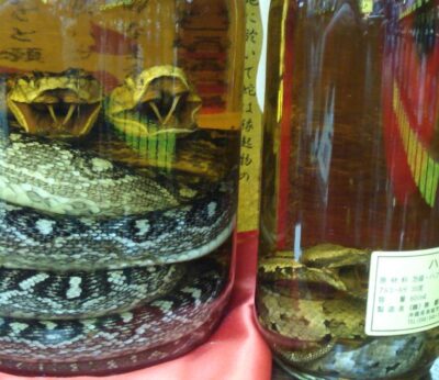 El ‘whiskey’ japonés de serpiente que se ha hecho viral en redes