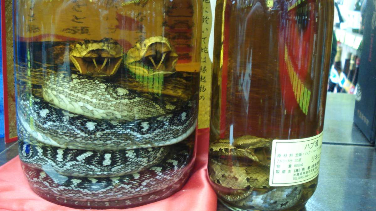 Japanese snake ‘whiskey’ that has gone viral on Social Media