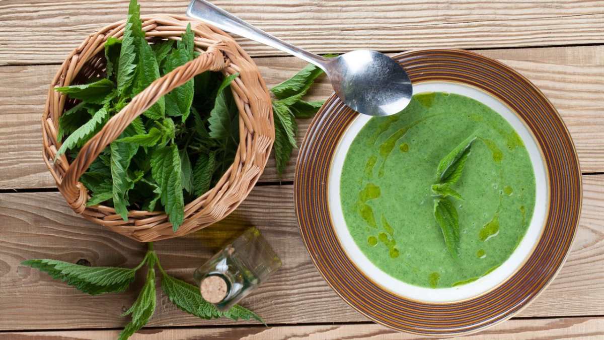 How to prepare nettle soup, a homemade recipe with lots of properties