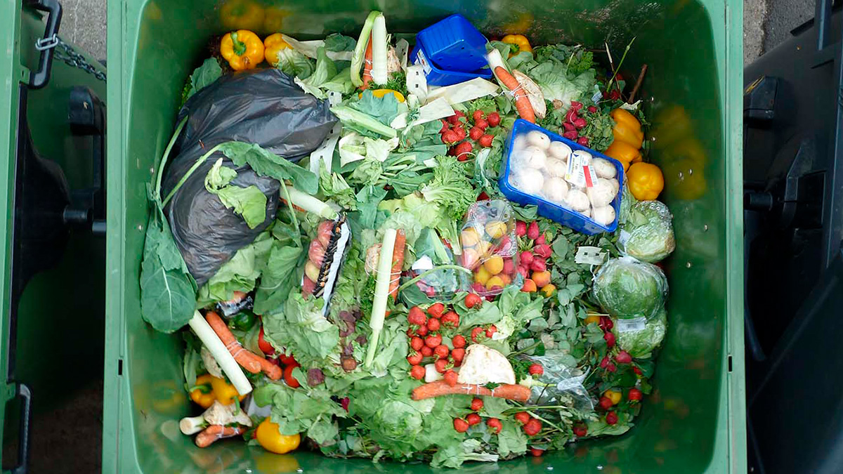Study reveals how to economise on groceries by controlling food waste