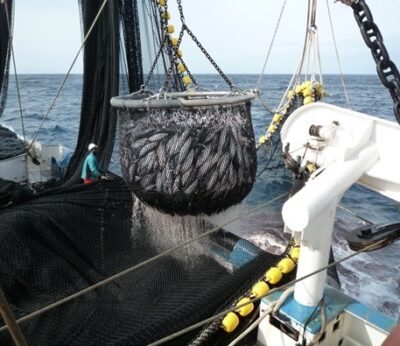 Economía.- La flota atunera española insta a tomar medidasintegrales para la pesquería de túnidos tropicales