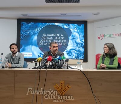 Economía.- El cultivo de frutos rojos es «sostenible» y supone el 1,5% del regadío de Huelva, según Interfresa