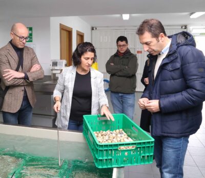 Economía/Pesca.- La Xunta aborda con el sector marisquero la situación provocada por el vertido de pélets