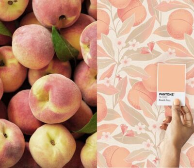 Bien de melocotón: cinco recetas inspiradas en Peach Fuzz, el color Pantone 2024