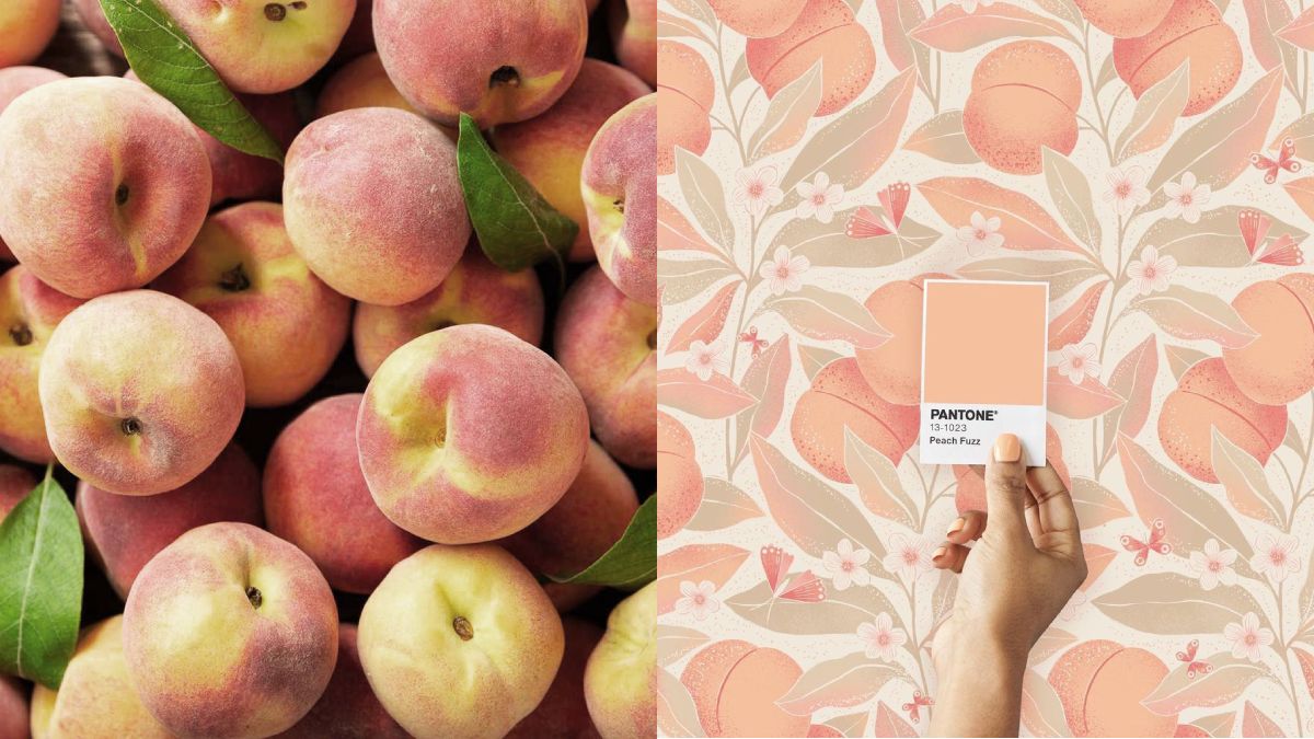 Peachy goodness: five recipes inspired by Peach Fuzz, the Pantone color 2024