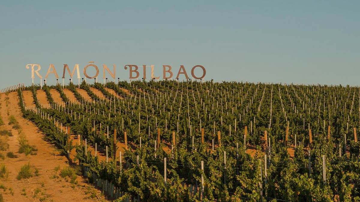The Spanish winery Ramón Bilbao celebrates 100 years with presence in more than 60 countries