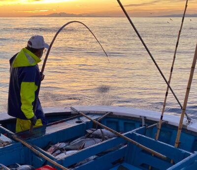 Economía.- La opinión del Abogado General UE sobre el acuerdo pesquero UE-Marruecos se dará a conocer el 21 de marzo