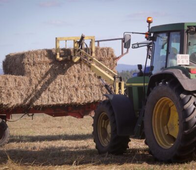Economía.- Bruselas invita a los agricultores a compartir experiencias sobre prácticas comerciales desleales