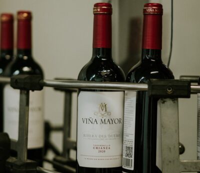 Sogrape buys Bodegas Viña Mayor from Entrecanales Domecq e Hijos and continues its expansion in Spain