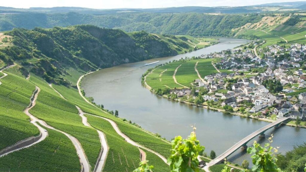 Algunas de las localizaciones más insólitas de viñedos se encuentran en Alemania, debido a su inclinación.