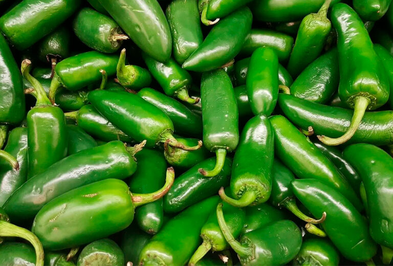 Por qué los jalapeños son menos picantes que nunca