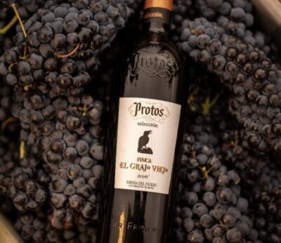 El grupo vinícola Protos ganó un 4% más durante 2023
