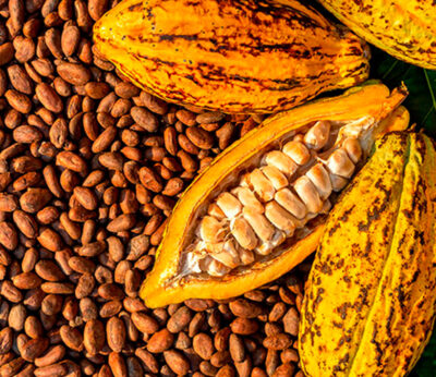 El precio del cacao alcanza un máximo histórico a nivel global