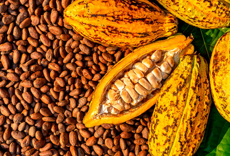 El precio del cacao alcanza un máximo histórico a nivel global