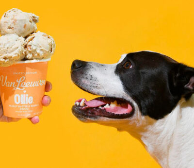 Van Leeuwen unveils gourmet ice cream for dogs