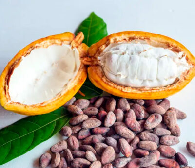 Un grupo de científicos suizos logra crear un chocolate más sano y sostenible