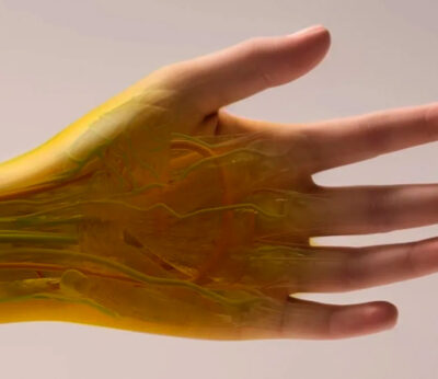 Science finds that Doritos dye can make skin invisible