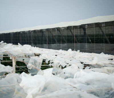 El Gobierno abonará más de dos millones a casi un centenar de agricultores y ganaderos andaluces afectados por la DANA