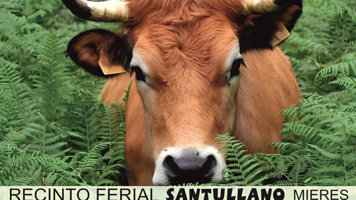 Rural.- Mieres acoge el XVIII Concurso Anual de Ganado en el Recinto ...