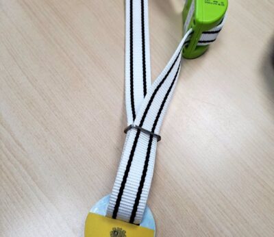 Agro.- Los ganaderos de Andorra dispondrán de un sistema de seguimiento GPS para el ganado