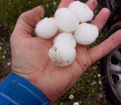 Asaja espera la evaluación de los daños del granizo, que en Los Monegros afectó a campos de cebada, trigo y guisante