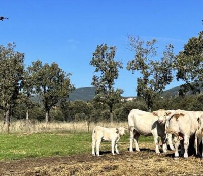 La Comunidad concede más de seis millones en ayudas para la modernización de explotaciones agrarias