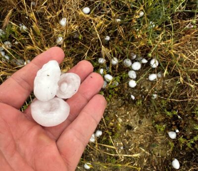 UPA pide convocar con urgencia la Mesa de Adversidades Climáticas tras estimar graves pérdidas por el granizo