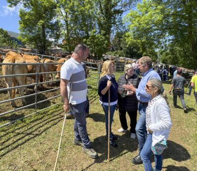 Unas 500 reses de 30 ganaderías cántabras se dan cita en la Feria de las Flores de Valdáliga