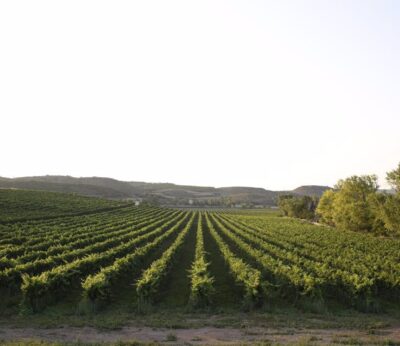 El Gobierno de Aragón destina 1,4 millones de euros en 2025 al asesoramiento a explotaciones agrícolas y ganaderas