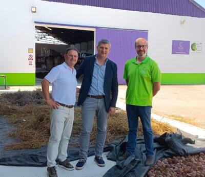 Córdoba.- La Junta concede seis millones de euros para la modernización de la agroindustria cordobesa del olivar