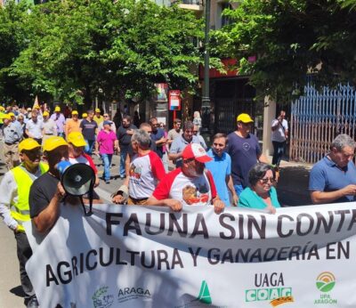 Agricultores y ganaderos aragoneses exigen soluciones inmediatas contra los daños de la fauna silvestre «descontrolada»
