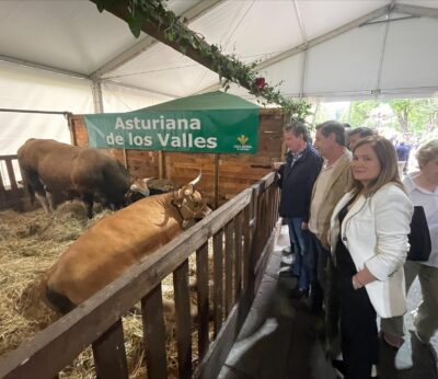 Rural.- Marcos Líndez anuncia en la Ascensión una nueva marca de calidad para impulsar los productos locales