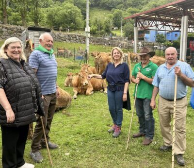 Miera celebra la XXI Feria de San Fernando con la participación de más de 250 reses de nueve ganaderías
