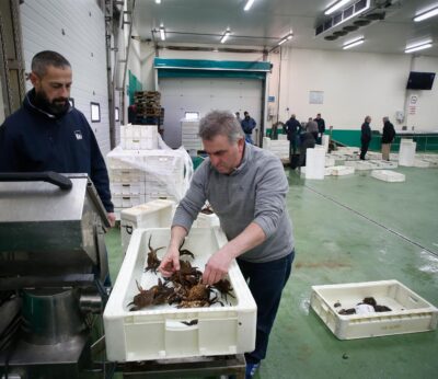 Pesca.- La Xunta traslada al sector el borrador que regularizará la comercialización de excedentes de marisco