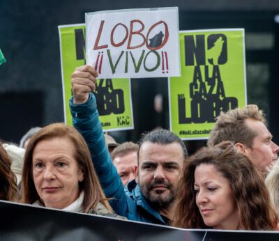 Rural.- Organizaciones ecologistas y animalistas se manifestarán el 22 de julio para exigir la protección del lobo