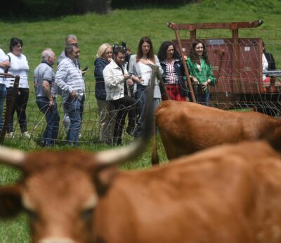 Rural.- La Xunta paga más de 5 millones de euros a 2.560 ganaderos afectados por la enfermedad hemorrágica epizoótica