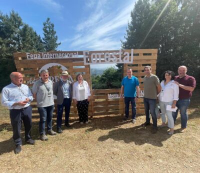 Rural.- Asturias invierte más de 30 millones en políticas forestales desde el inicio de la legislatura