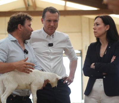 Agro.- El Govern activa un plan con 33 medidas para potenciar la ganadería extensiva en Catalunya