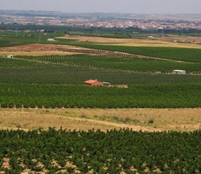 Agro.- El Govern abona 1,3 millones de las ayudas directas de ecoregímenes de la PAC 2024