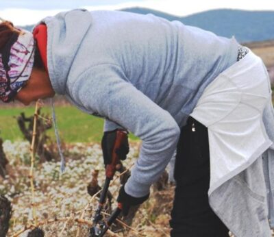Agricultura ofrece a organismos y entidades material para el curso de emprendimiento de la mujer en el medio rural